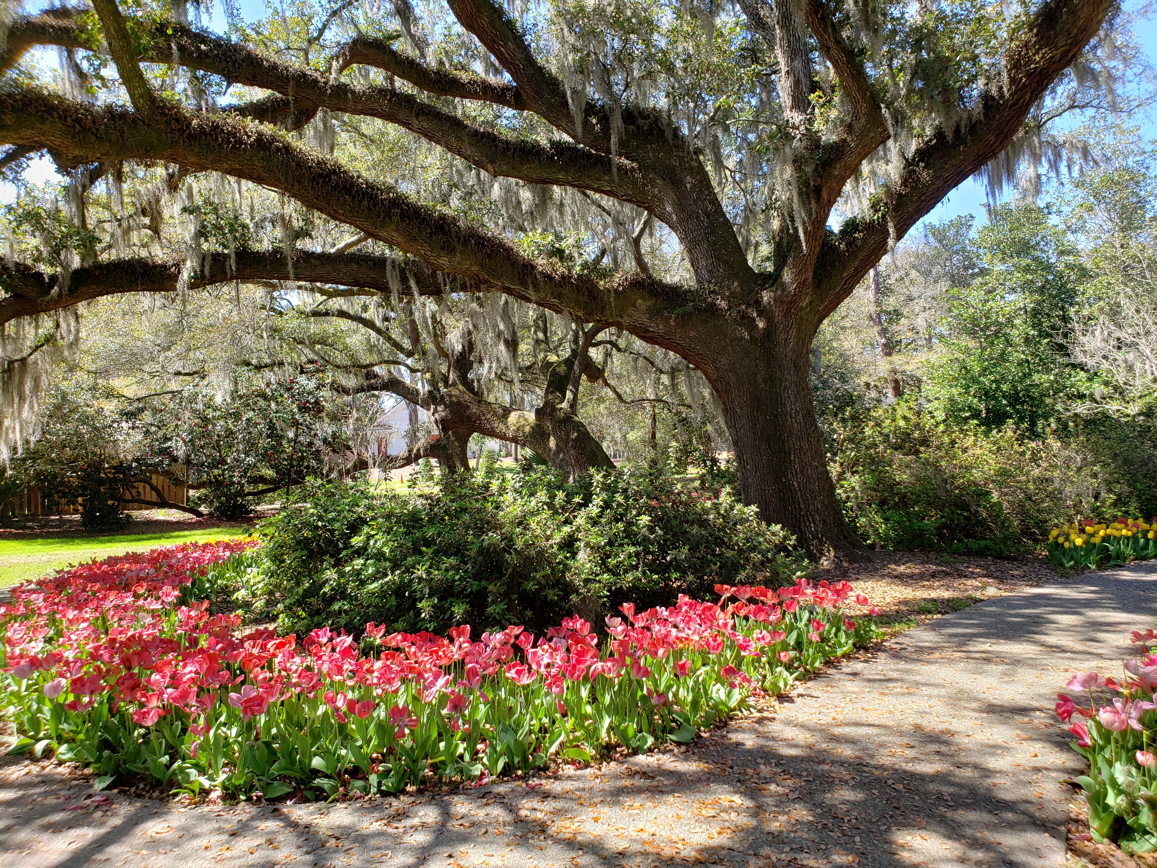 Butterfly Garden